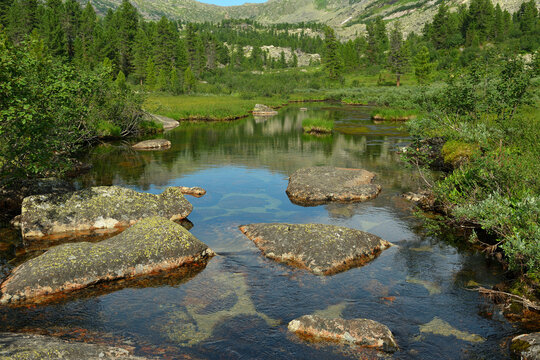 Large rocks jut out from the surface of a calm river flowing down from the mountains through a valley covered with bushes on a sunny summer day.