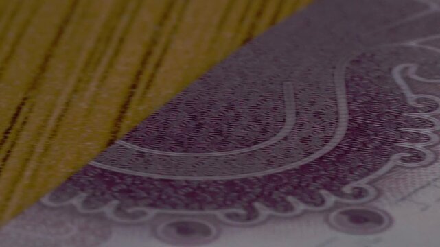 Macro closeup of an engraved illustration on a banknote highlighting intricate line patterns, detailed printing, and security features for financial and currency design concepts