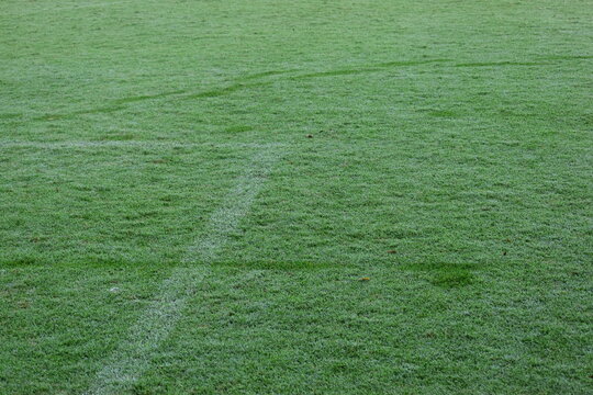 green grass background, exterior design