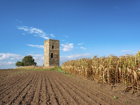 The Blue Tower in a ploughed field in autumn, medieval watchtower in the Magdeburger B&ouml;rde, Wanzleben-B&ouml;rde, Saxony-Anhalt, Germany