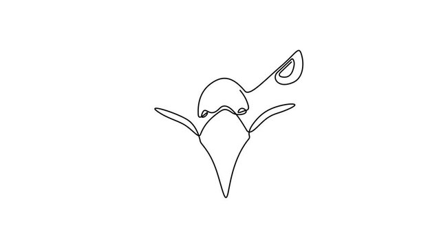 Animated video of an aggressive eagle head. Motion graphic of the eagle head icon facing left.