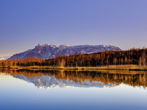 Untersberg reflected in the moor lake in Ainringer Moor, also moss, Ainring, Berchtesgadener Land, Upper Bavaria, Bavaria, Germany