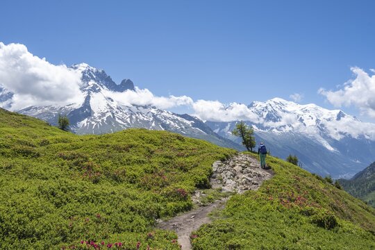Hiker on a hiking trail, Aiguilette des Posettes, in the background mountain peaks Aiguille de Chamois and Aiguille de Praz-Torrent, Chamonix, Haute-Savoie, France