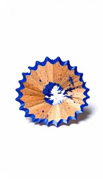 Blue-edged, spiraled wood shaving from a sharpened pencil