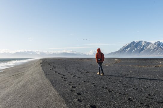 Man walking by the sea in the black sandy beach, lava beach, snow-capped mountains, Hvalnes Nature Reserve, South Iceland, Iceland