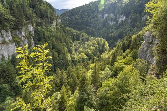 View into the gorge at the Echelles de la Mort death ladders in the Doubs valley, Charquemont, Bourgogne-Franche-Comt&eacute;, France