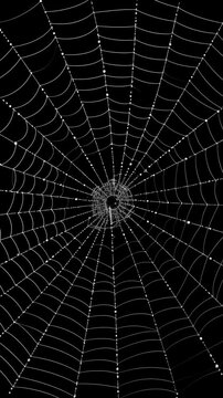 Vertical seamless loop animation of a white spider web spinning in slow motion on a dark background, ideal for Halloween reels, spooky stories, horror intros, cinematic overlays, mobile video content