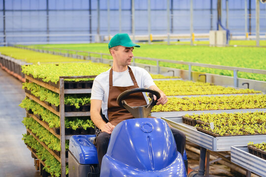 Man in a green cap drives a blue utility vehicle, transporting trays of young green plants through a vast, modern commercial greenhouse during the day