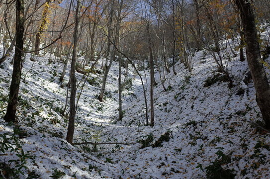 Mt.Monbetsu in autumn color　and the first snow