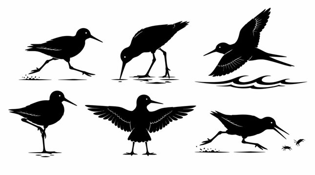 Sandpiper bird silhouettes in various poses, minimalist nature art