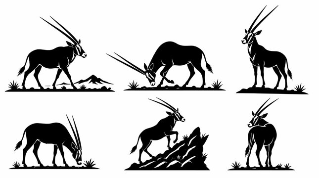 Set of Oryx Antelope Silhouettes in Various Poses