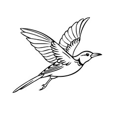 Fototapeta premium Simple flying bird Vector Images & Graphics for Commercial Use