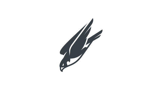 Flying Bird Silhouette in Air.
