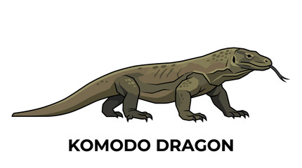 Obraz premium Detailed Vector Illustration of a Majestic Komodo Dragon Reptile Standing in Profile