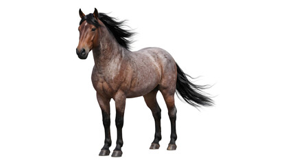 Roan colored horse standing sideways with flowing black mane and tail captured as an isolated PNG with transparent background © Inkartia