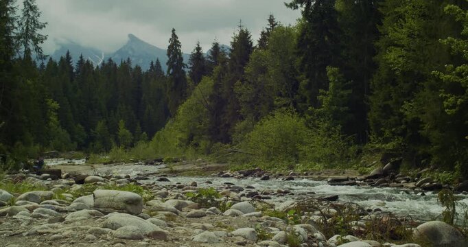 Scenic view of the Biala River with clear water flowing over rocks, surrounded by lush green forest and distant Tatra Mountains.