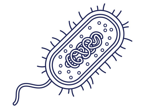 Bacterium microorganism single cell with flagellum outline bacterium bacteria pathogen microbiology organism infection microscopic research laboratory illustration isolated flagellum