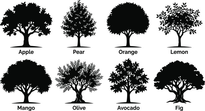 Fruit Tree Silhouette Collection Featuring Apple Pear Orange Lemon Mango Olive Avocado and Fig Trees