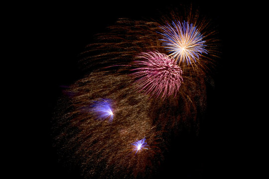 Colorful pink gold and blue fireworks exploding in the dark night sky