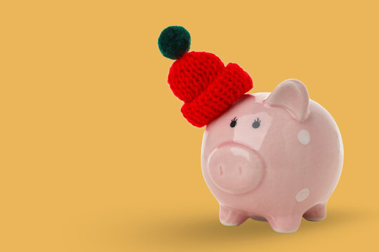 A cute piggy bank dons a red hat while winter savings begin