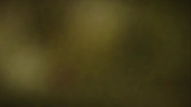 Poorly Developed Celluloid Film Loop Overlay