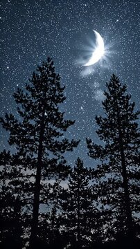 Crescent Moon Over Silhouetted Trees at Night - A bright crescent moon shines through the stars in a dark night sky.