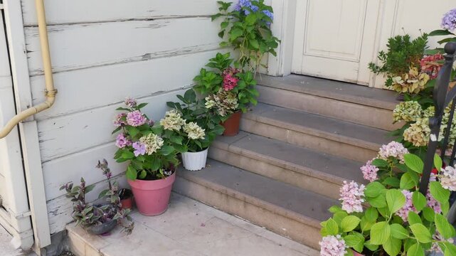 Flowers on steps of a building in a residential area