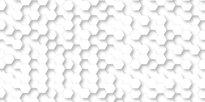 Abstract white grid presentation surface mosaic and tiles minimal tech bee website science element grid overlay white hexagon futuristic technology geometric texture background.