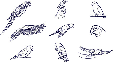 Hand Drawn Parrot and Exotic Tropical Birds Line Art Vector Icon Set for Coloring Pages Tattoo Design Print and Fabric Patterns © MstRabeya
