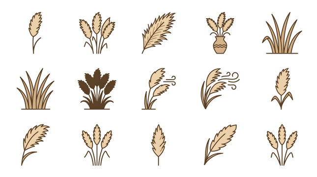 Pampas Grass and Reed Vector Icons Collection
