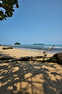 Tropical golden sand beach in Indonesia