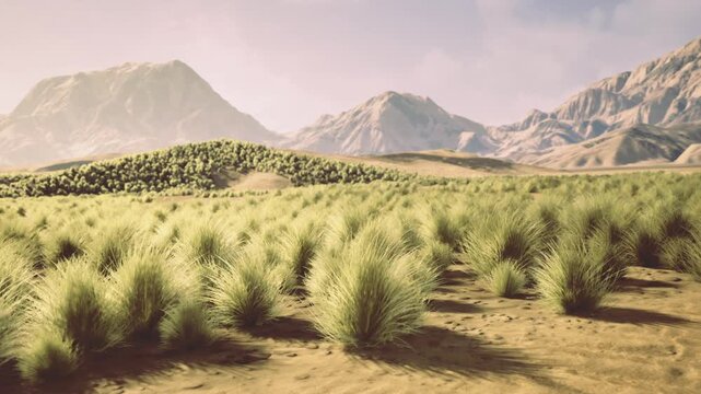 Sunlit sagebrush scrubland beneath distant mountains, golden light, dry soil, scattered boulders, sweeping horizon, soft haze, windsculpted foliage, expansive