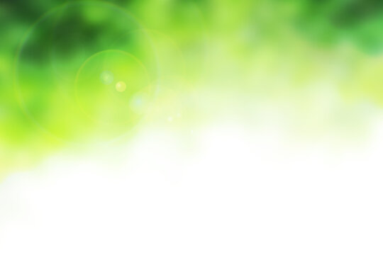 Green Background for people who want to use graphics advertising.