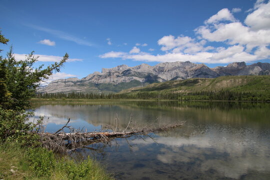 Summer On Talbot Lake, Jasper National Park, Alberta