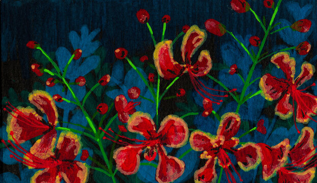 Gouache painting of vibrant red and yellow flamboyant or peacock flowers blooming on green stalks against a dark moody background, ideal for artistic study and design reference