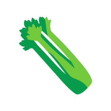 Fresh Celery Stalk, Healthy Vegetable Icon, Isolated on White Background