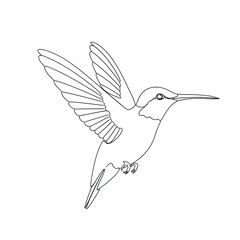 Obraz premium Detailed flying hummingbird line drawing with wing patterns.