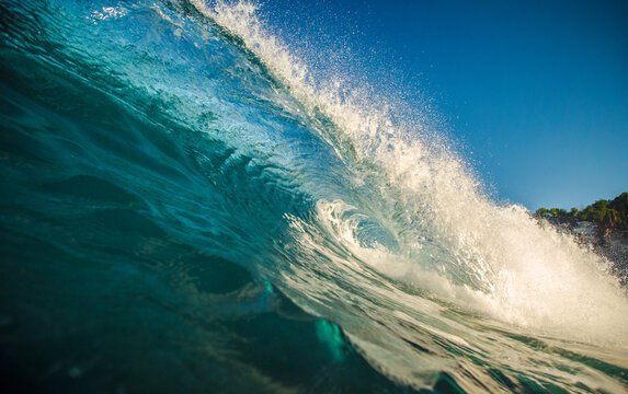 Golden Sunlight Illuminating a Curling Ocean Wave Barrel and Spray