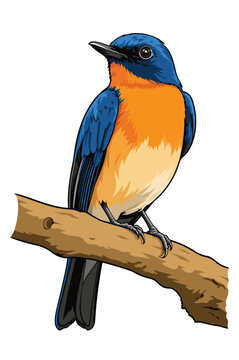 Vibrant bird perched on a branch vector illustration