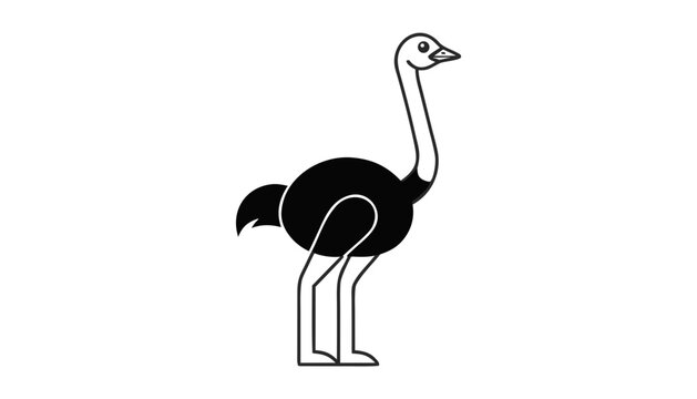 vector illustration of a ostrich