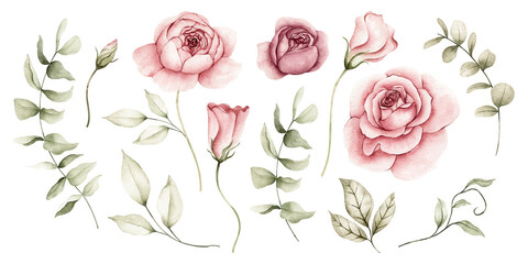 Watercolor romantic rose floral PNG set, blush and magenta pink roses, rosebuds, curly green leaf vines and eucalyptus branches, elegant greenery, clipart, for wedding cards © Carol Lozove
