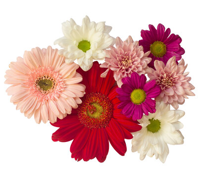 Flowers Arrangement Transparent Background for Wedding Card, Wedding Ornament, Wedding Invitation, Greeting Card and many more.