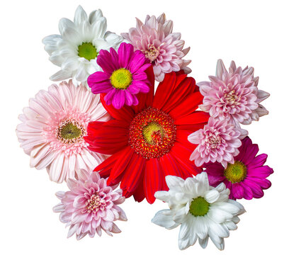Flowers Arrangement Transparent Background for Wedding Card, Wedding Decoration, and many more.