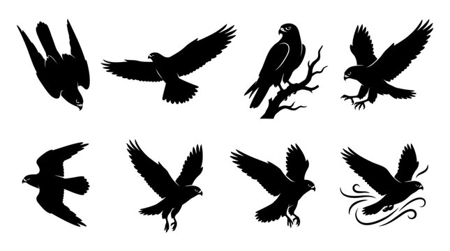 Set of black silhouettes of eagles and hawks in various flight poses and perching.