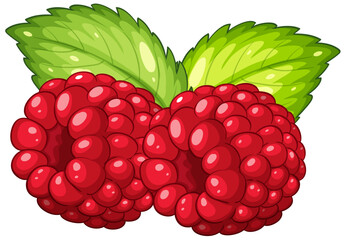 Vector Illustration of Two Red Raspberries with Green Mint Leaves © GraphicsRF