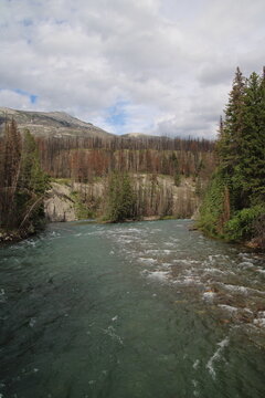 Maligne River, Jasper National Park, Alberta