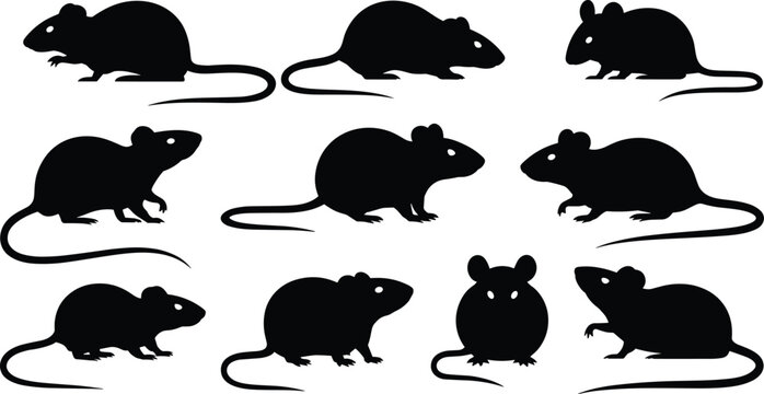 Set of mouse and rat vector silhouettes showing various poses and angles isolated on a white background