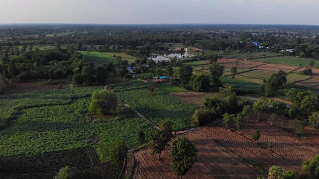 Drone view with the country farm as sugar cane, rubber tree and rice plantation the landscape. View of lush green paddy field and land for growing other plants during the  growing season in Thailand.