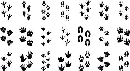 Obraz premium Collection of various wild animal footprints in black silhouette style with footprint wildlife silhouette collection predator tracking wilderness isolated illustration movement