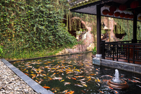 Serene Koi Pond Surrounded by Lush Greenery for Tranquil Garden Design - horizontal